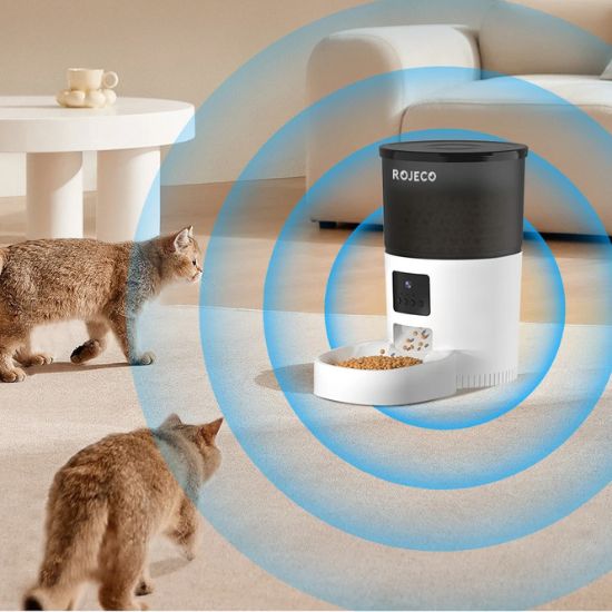 Distributeur de croquettes pour chat - WiFi Caméra, un chat observe le distributeur intelligent avec caméra pour surveiller et nourrir à distance.