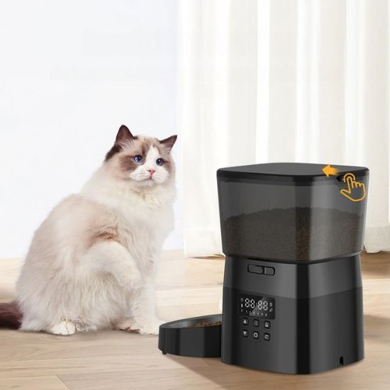 Distributeur croquettes chat - Rojeco 2L automatique, avec écran lcd programmable et un chat à côté, illustrant alimentation programmée, réservoir transparent et sécurité pour repas réguliers et sereins.