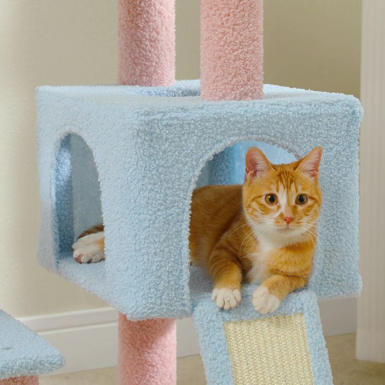 Chat allongé dans arbre a chat Le Jardin Floral, un espace multi-niveaux avec plateformes et maisonnettes pour détente et jeu.