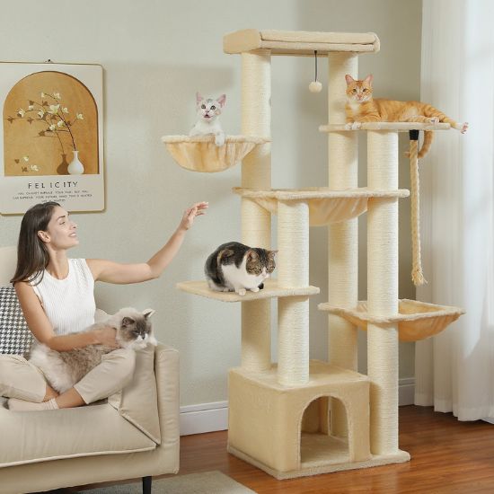 arbre a chat maine coon beige pour plusieurs chats