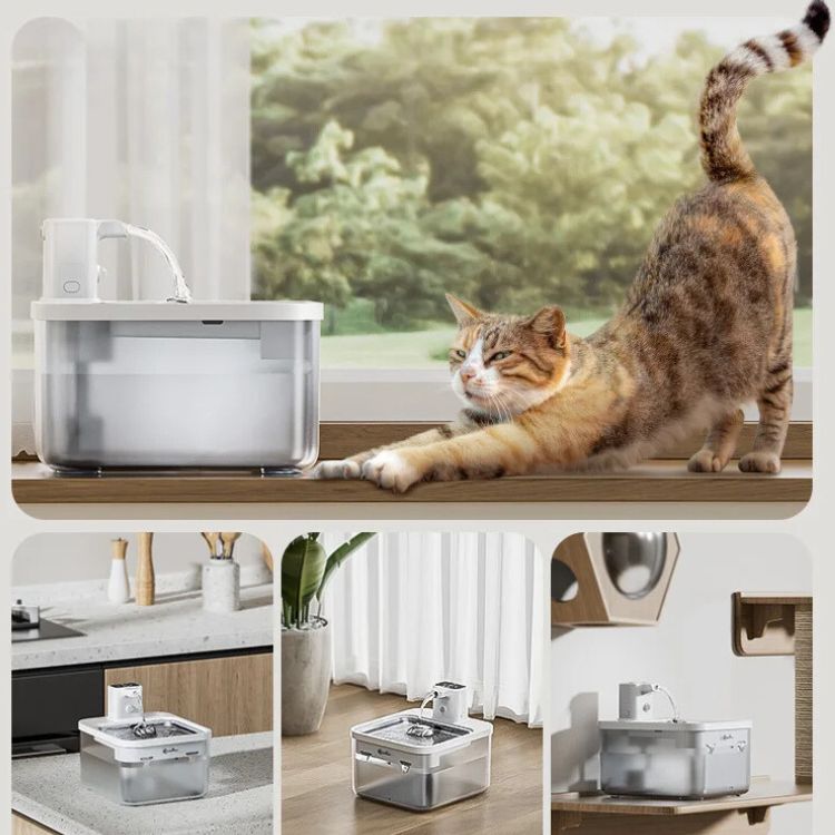 Fontaine a eau chat en acier inoxydable sans fil deplacement facile un chat a cote heureux