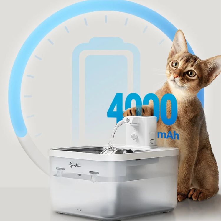 Fontaine a eau chat batterie 4000mAh rechargeable portable sans fil