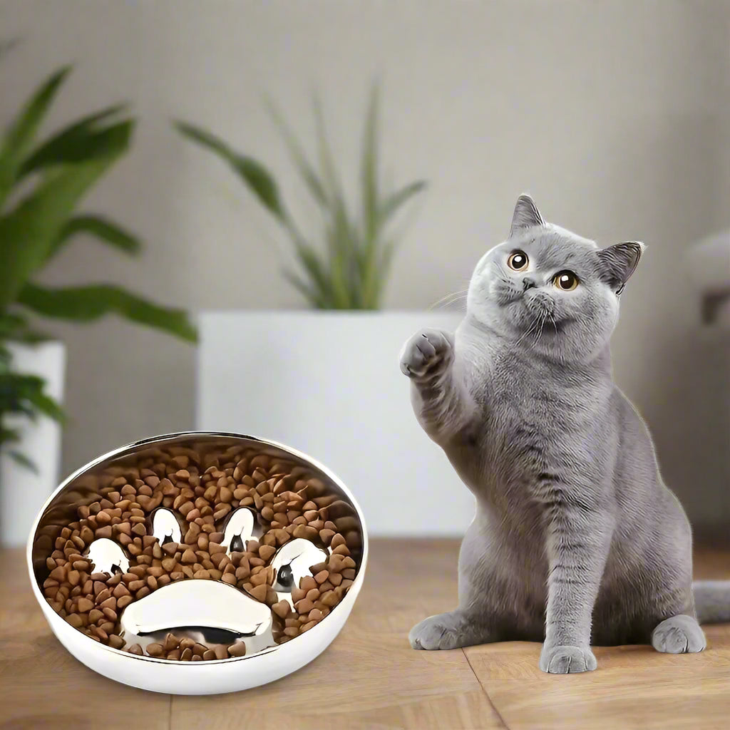 gamelle anti glouton chat en acier inoxydable pour ralentir l’ingestion