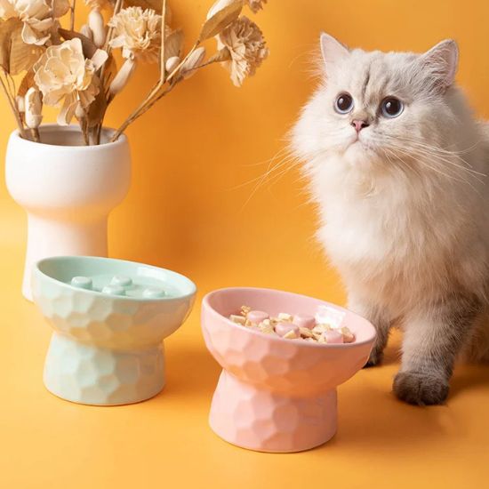 gamelle anti glouton en céramique avec labyrinthe pour chat mangeant paisiblement
