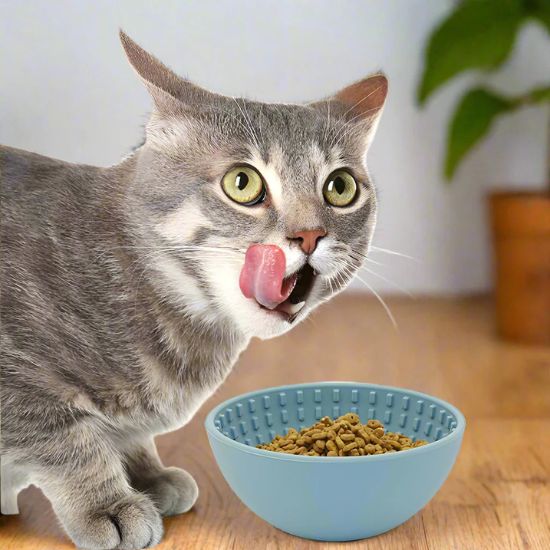 gamelle anti-glouton chat couleur bleu rond repas ralenti chat heureux regale