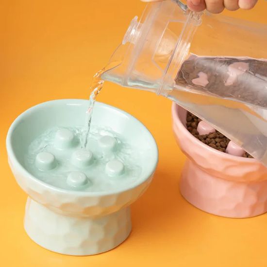 gamelle anti glouton en céramique parfaite pour croquettes et eau