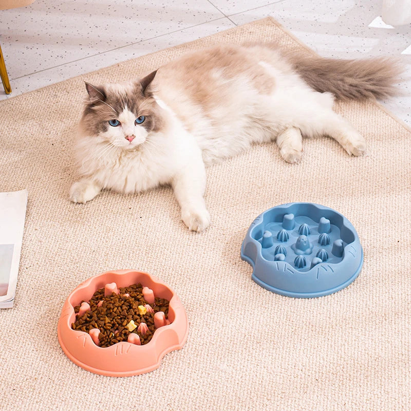 Gamelle anti-glouton chat rose et bleu avec chat heureux pendant le repas