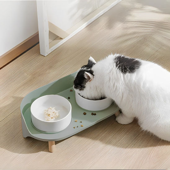 gamelle chat surélevée double bols céramique verte avec chat mangeant des croquettes