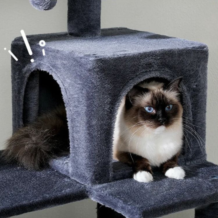 Grand arbre à chat avec maison intégrée pour dormir et se relaxer
