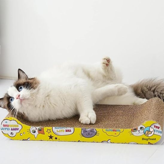 Griffoir en carton robuste ondulé pour jouer griffer