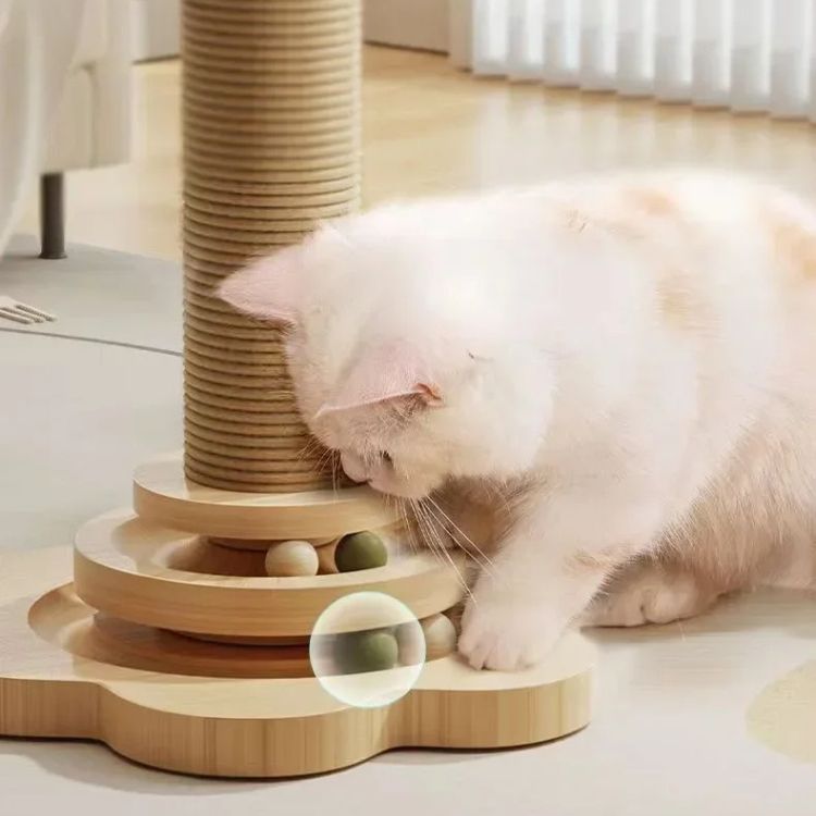 Griffoir pour chat avec jouet intégré, plume et balles pour la protection des meubles