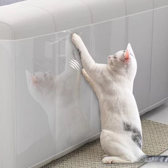 Protection canapé chat film transparent PVC durable