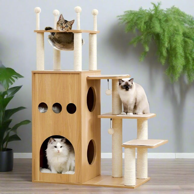 arbre à chat scandinave bois avec griffoir trois chats relaxent capsule transparente et deux maisons pour chat intégrée