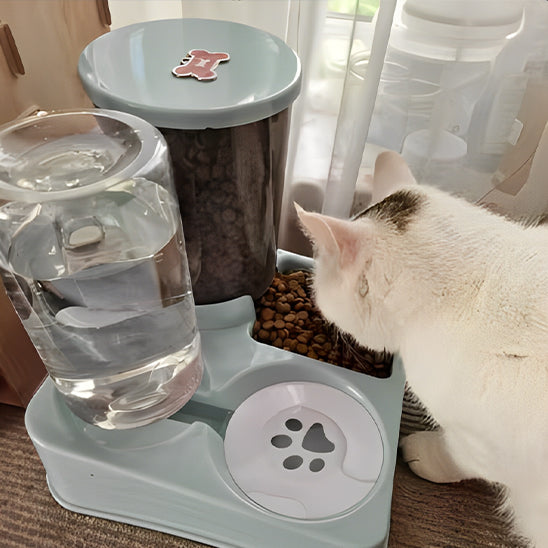 Distributeur croquettes chat 1L bols inclinés automatique