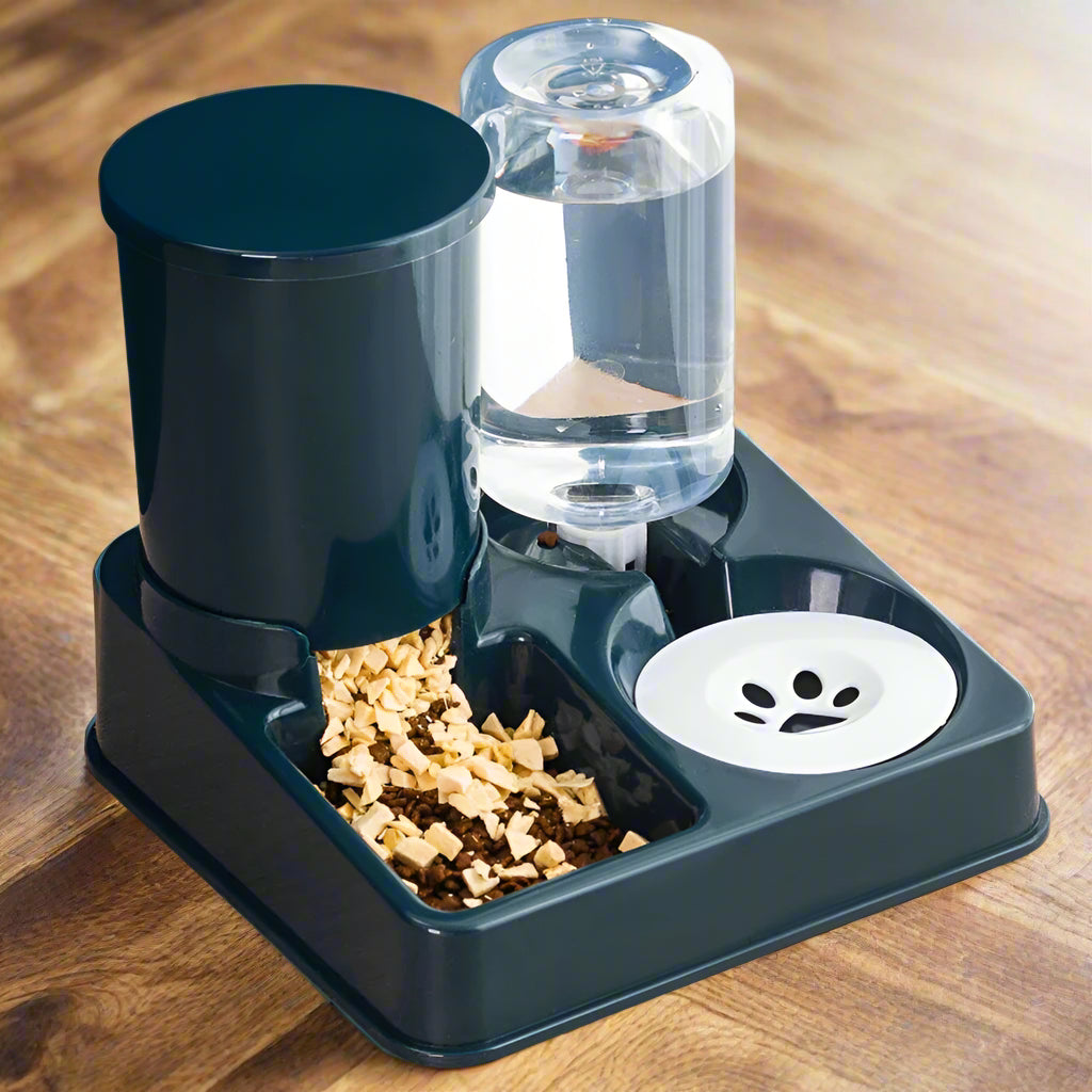 Distributeur croquettes chat gravité bol incliné alimentation hydratation
