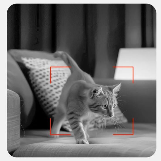 distributeur croquettes chat rojeco 3l avec caméra intégrée vision nocturne