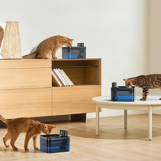 Fontaine a eau chat avec batterie sans fil – Ochat™