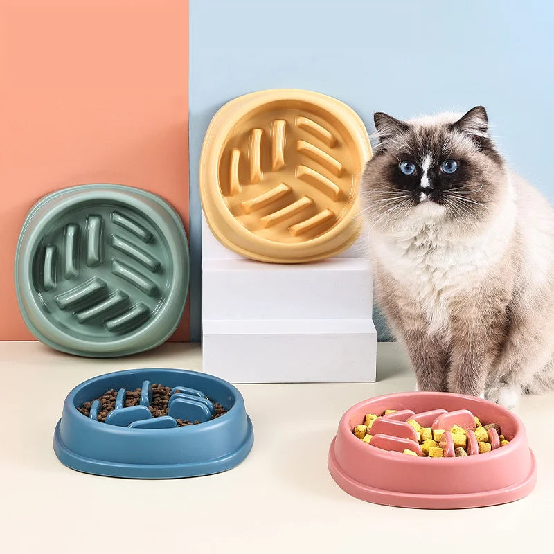 Gamelle anti glouton CatBowl avec picots à cÎté chat digestion lente