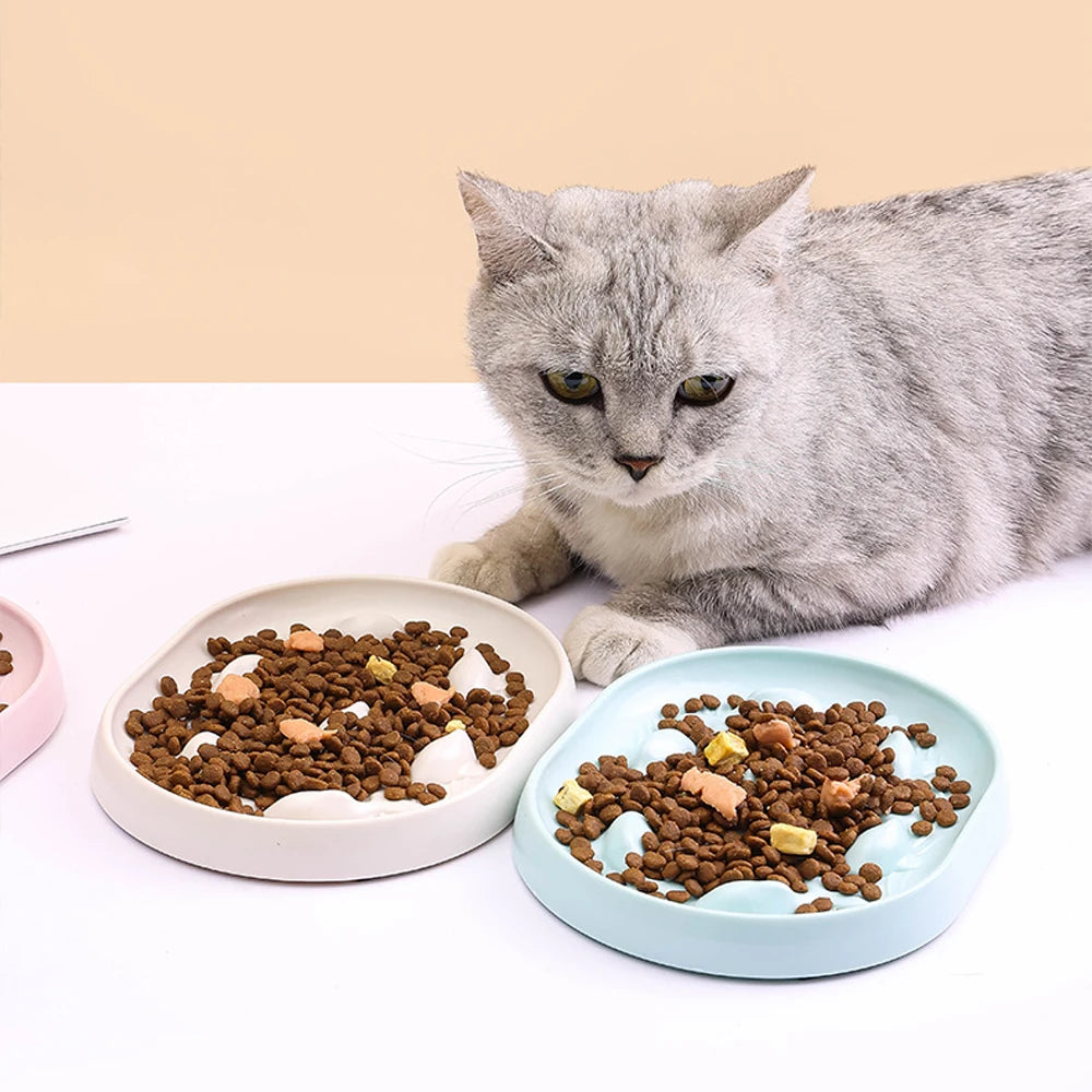 Gamelle anti-glouton chat allongé réduit vomissements ingestion lente