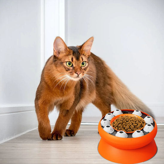 gamelle anti glouton chat puzzle alimentaire pour ralentir alimentation