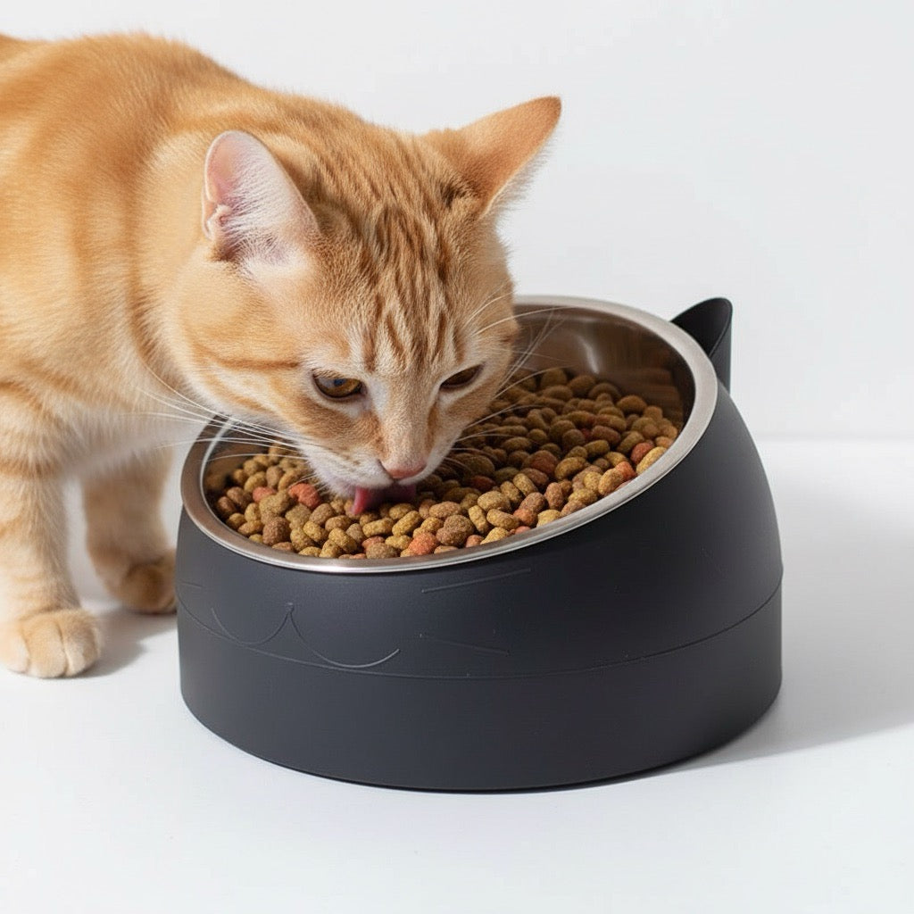 gamelle chat surélevée noir avec chat mange croquettes bol inox design oreille chat