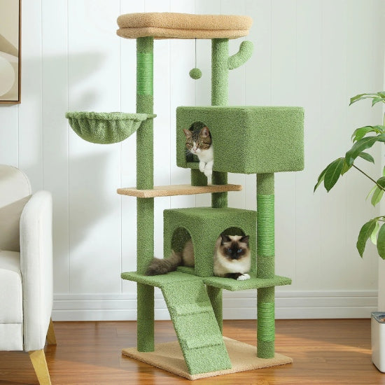 Grand arbre à chat avec panier pour chat cactus occupé par deux chats, avec condos, hamac, poteaux en sisal et jouet suspendu pour escalader et se détendre