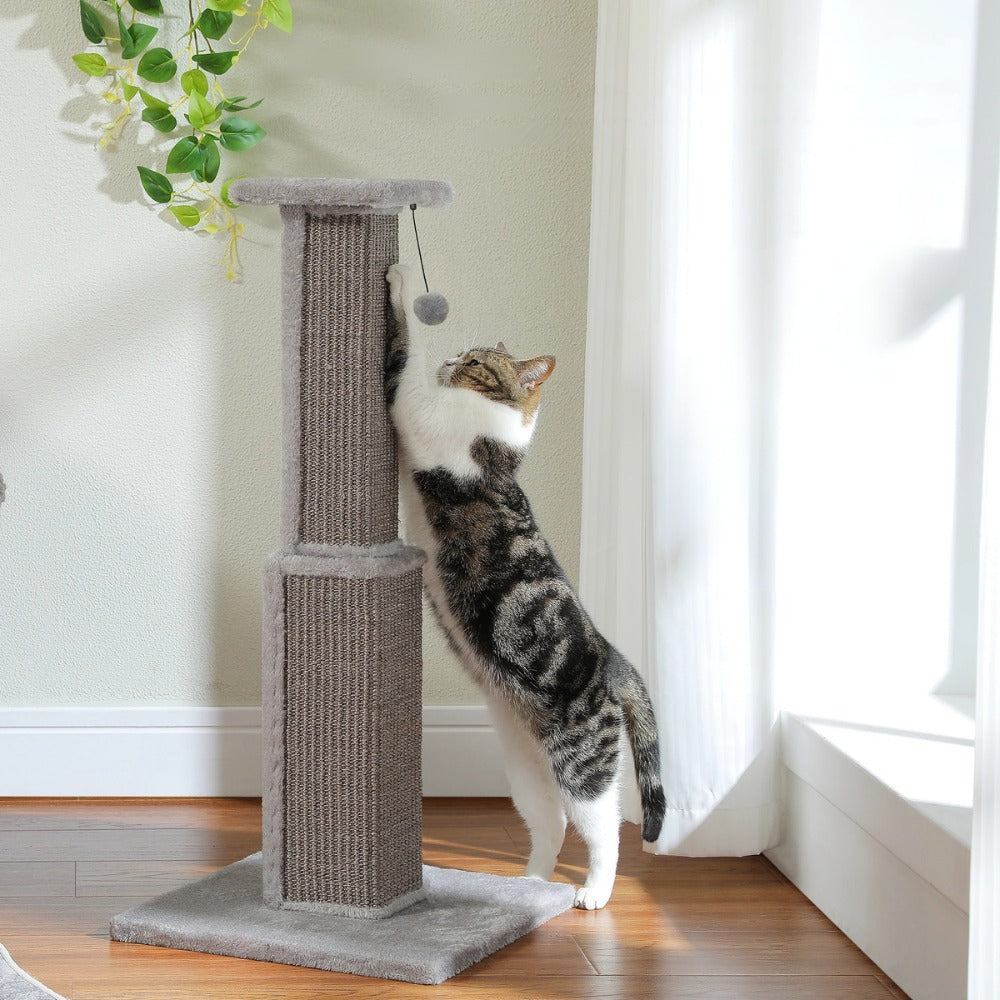 griffoir chat en sisal tressé gris 81 cm grand poteau pour chat avec jouet