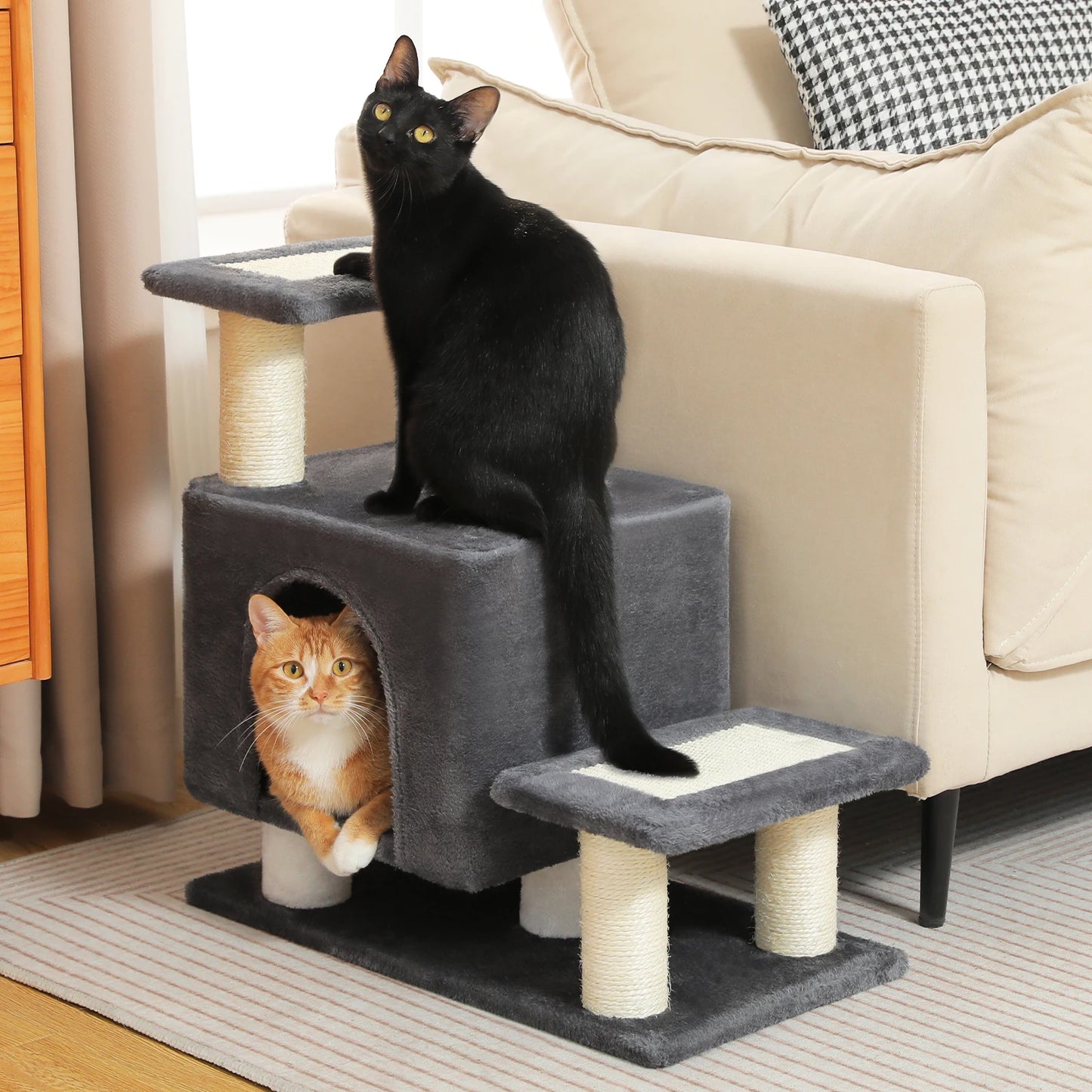 Griffoir escalier pour chat avec maison pour chat et deux chats jouant dessus