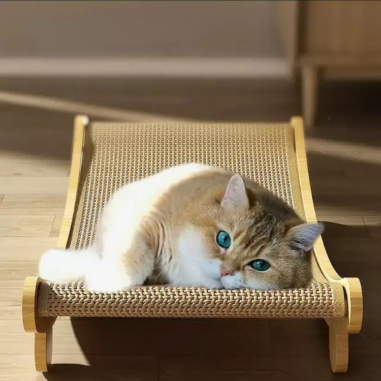 Griffoir pour Chat avec un chat allongé sur un griffoir incurvé en bois et sisal protége meubles des griffures