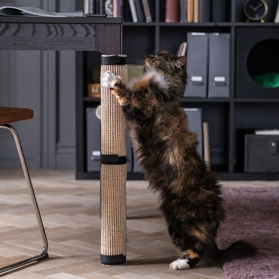 Griffoir en sisal pour chat enroulé autour d’un pied de bureau