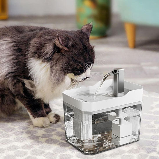 fontaine eau chat l'hydratation idéale pour votre félin chat gris et blanc buvant à une fontaine transparente avec pompe et filtre sur un tapis