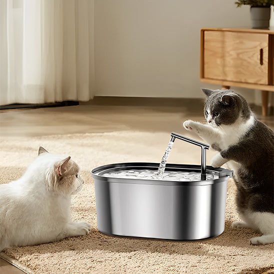 Fontaine à eau pour chat - ROJECO en acier inoxydable