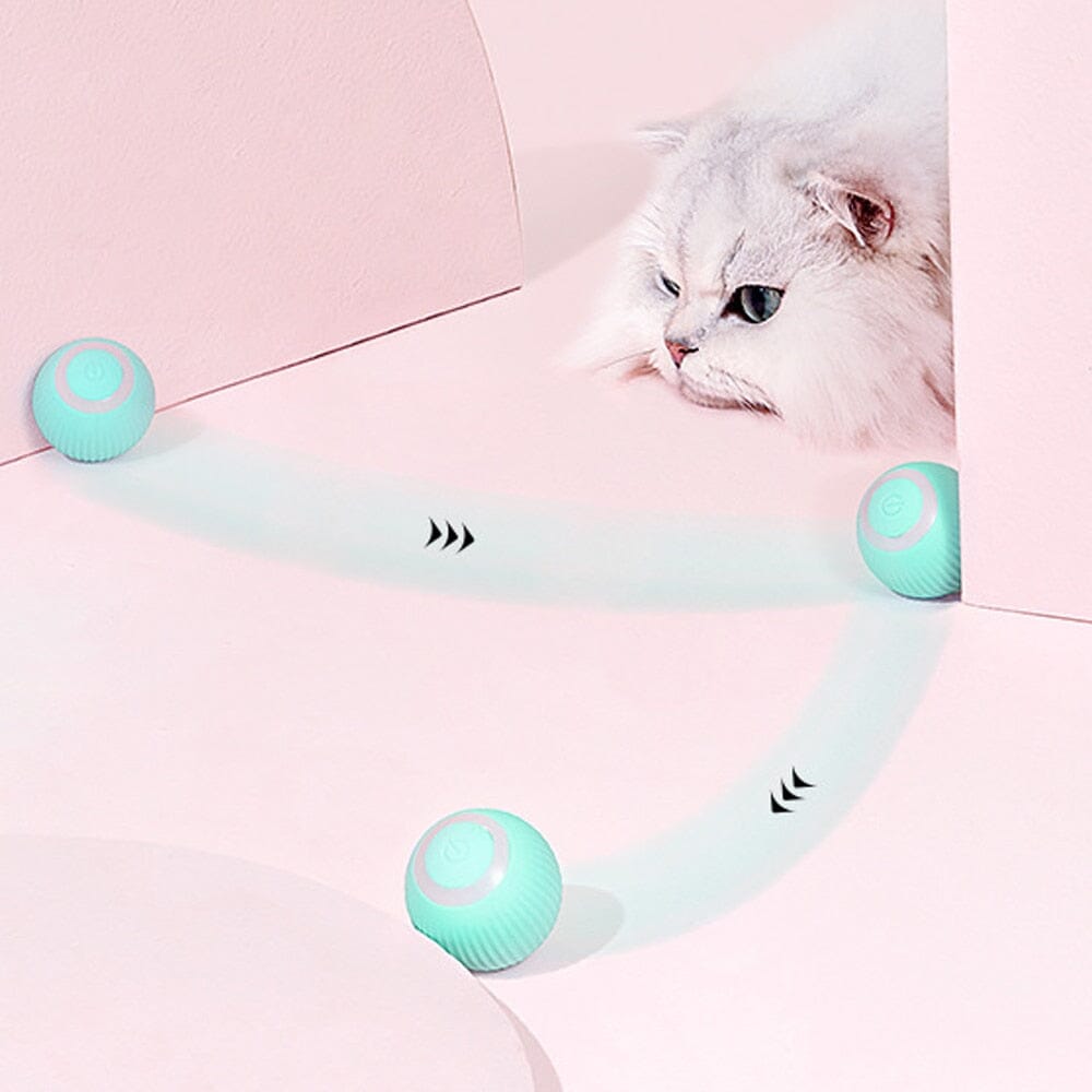 Jouet chat interactif balle rotation 360 auto direction obstacle