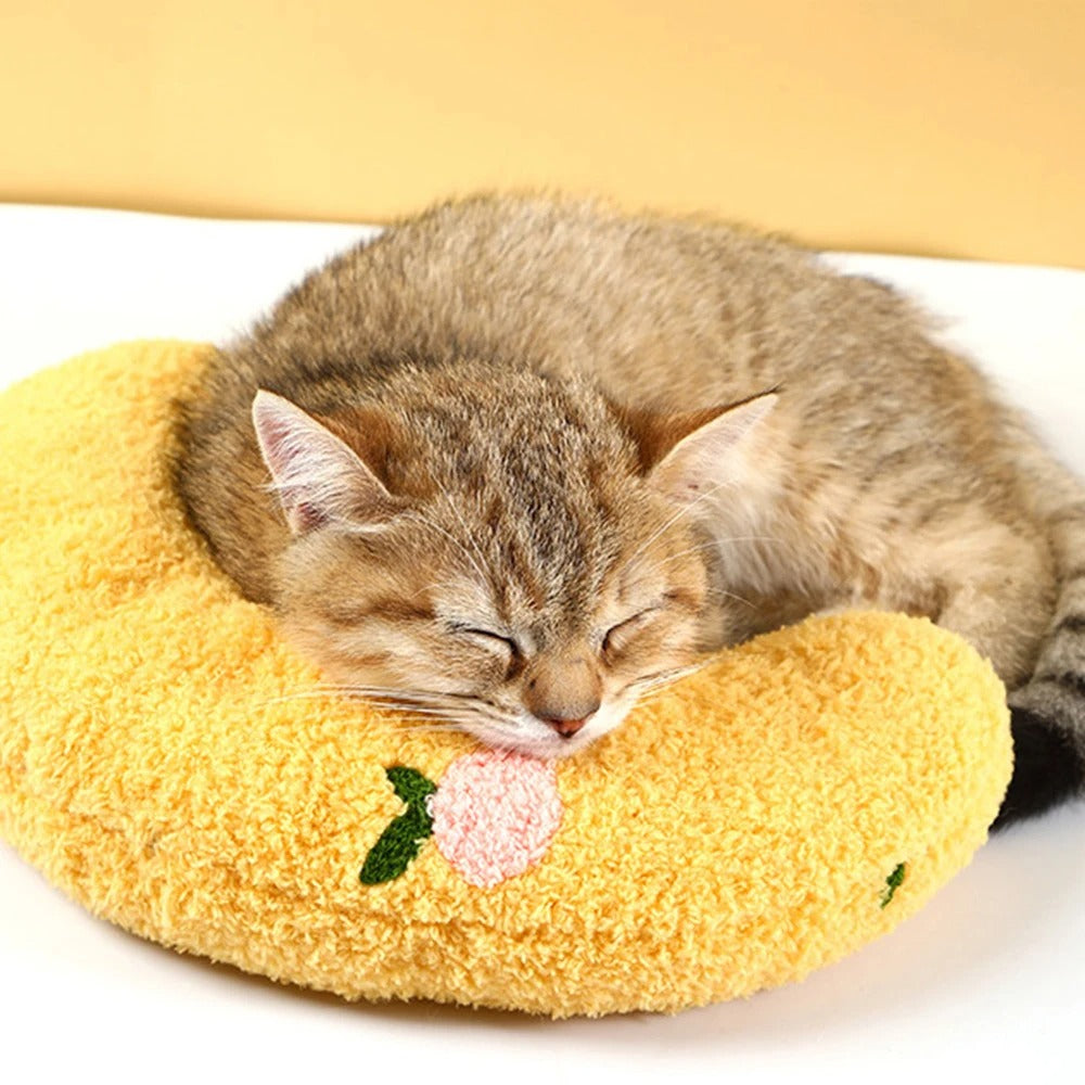 Coussin pour chat couleur mangue avec un chat endormi dessus, offrant un soutien ergonomique et un confort apaisant pour un sommeil réparateur et sécurisant.