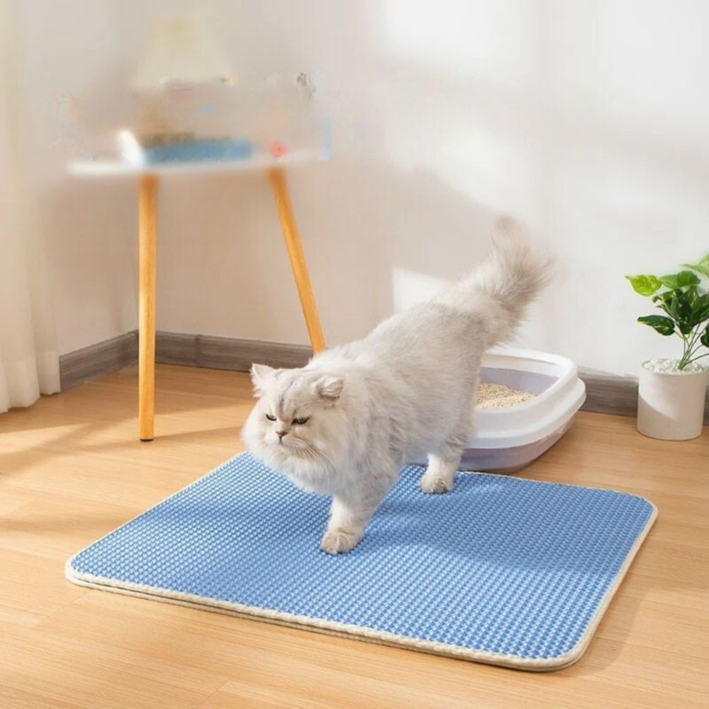 Tapis litière chat double couche imperméable bleu