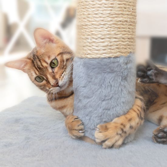 chat bengal grimpant sur arbre à chat en corde et fausse fourrure
