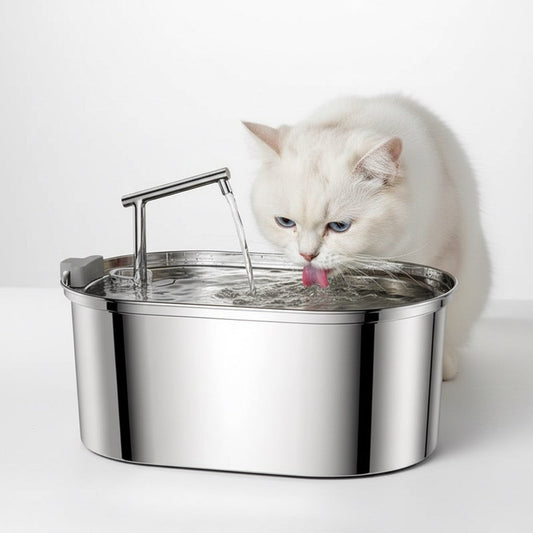 Quand changer l'eau d'une fontaine chat ?