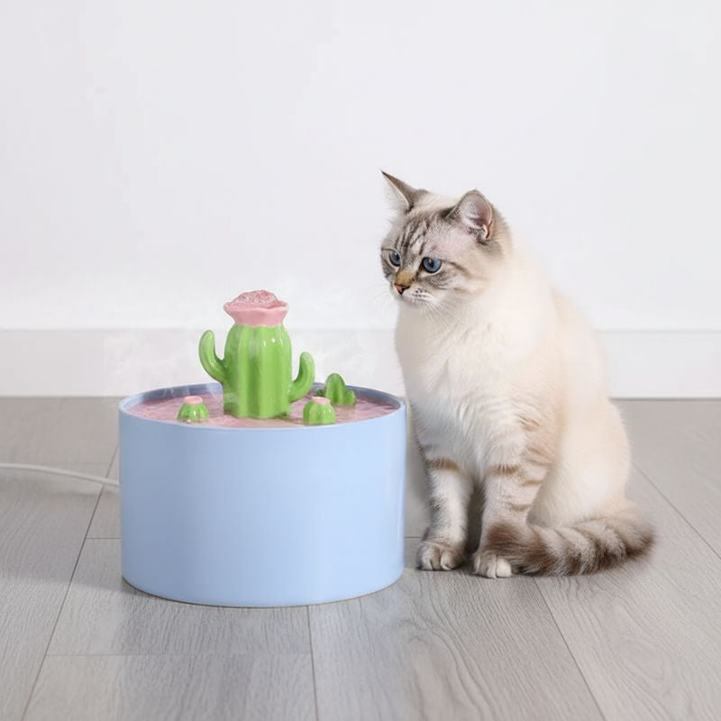 Où placer la fontaine à eau pour chat ?
