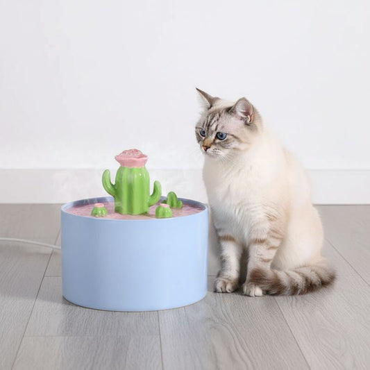 Où placer la fontaine à eau pour chat ?