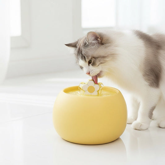 Quelle fontaine à eau pour chat est facile à nettoyer quide complet
