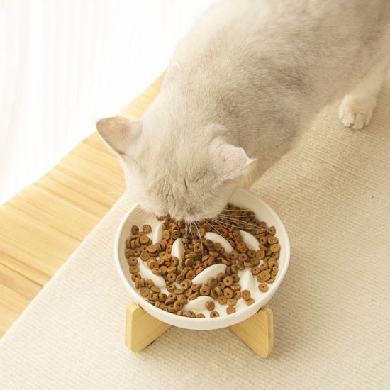 gamelle anti glouton chat céramique blanc avec support bois
