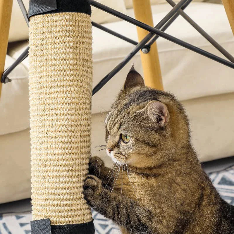 comment choisir le griffoir chat idéal ?