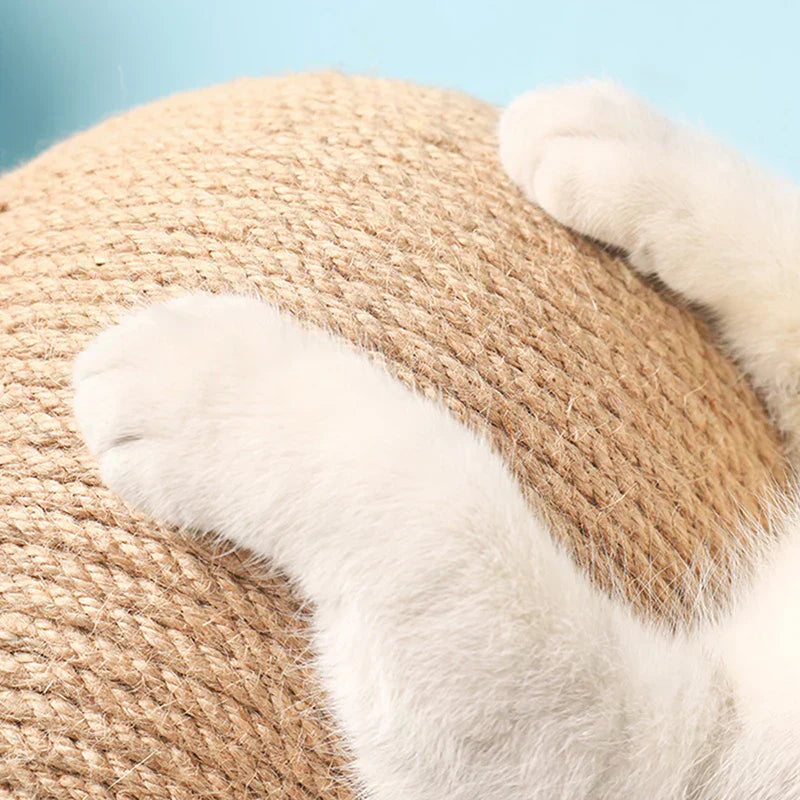 Quelle corde choisir pour un griffoir pour chat, sisal ou jute ?