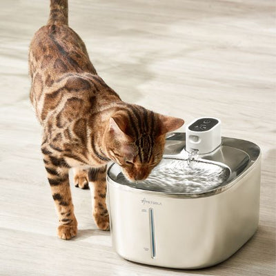 Fontaine à eau chat sans électricité