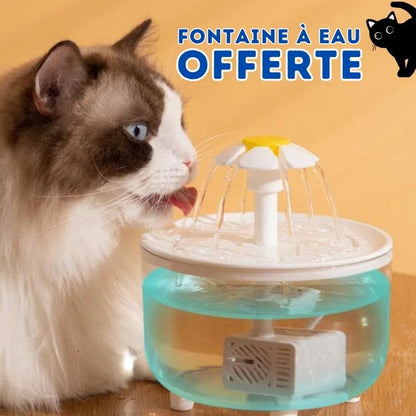 Griffoir pour Chat | EcoScratch™