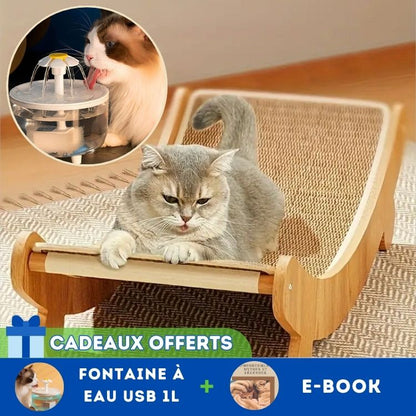 Griffoir pour Chat | EcoScratch™