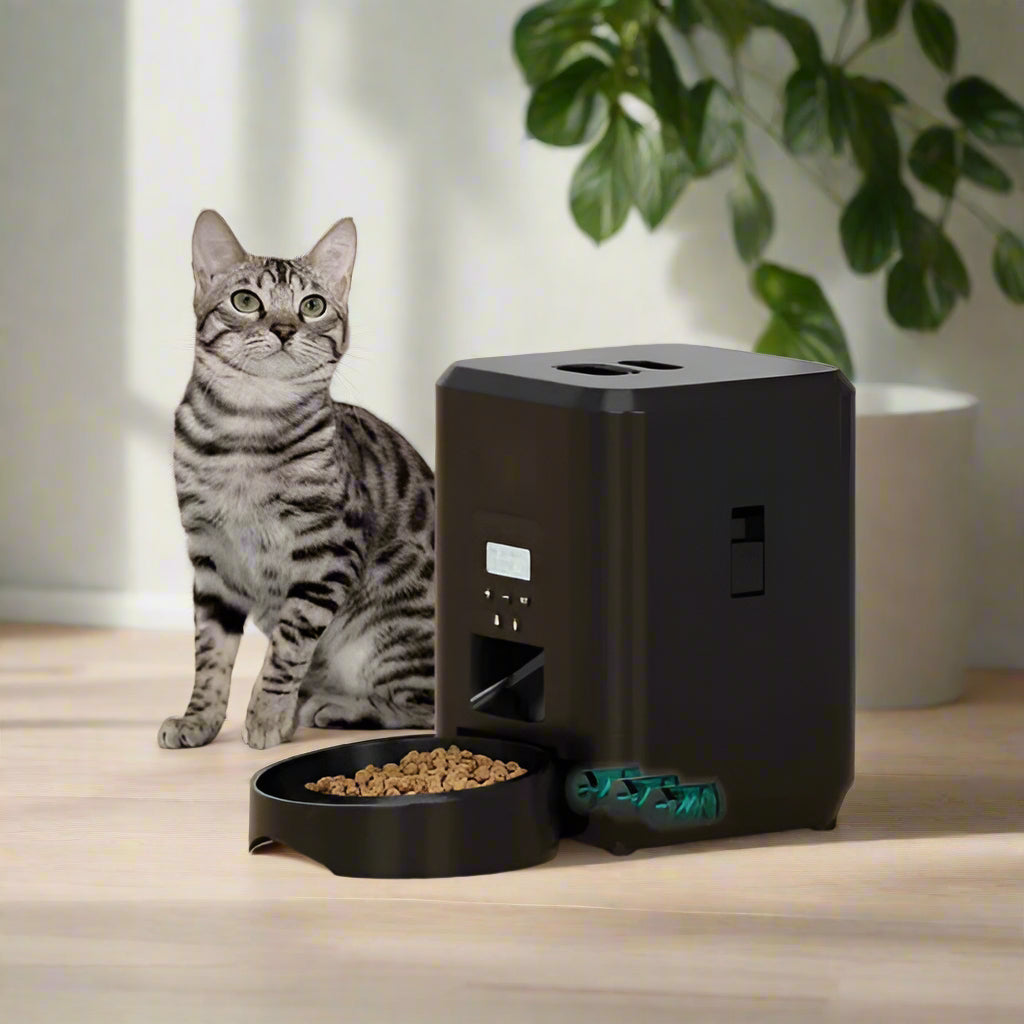 Distributeur croquettes chat Un chat à côté d'un distributeur intelligent avec croquettes, assurant repas programmés et équilibrés pour le bien-être félin avec système d'alimentation de secours batterie.