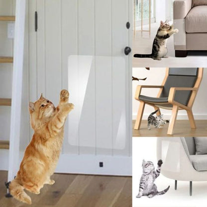 Protection canapé chat : un chat essaye de faire ces griffes sur une porte, démontrant l'efficacité du film protecteur invisible sur les meubles.
