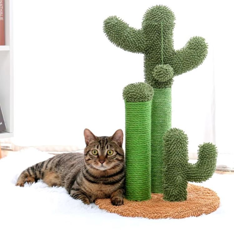 Arbre-a-chat-cactus-poteau-chat-adulte