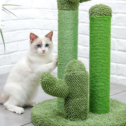 Arbre-a-chat-cactus-ragdoll-chat